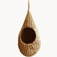 Savar Pot Planter-0