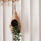 Savar Pot Planter-1